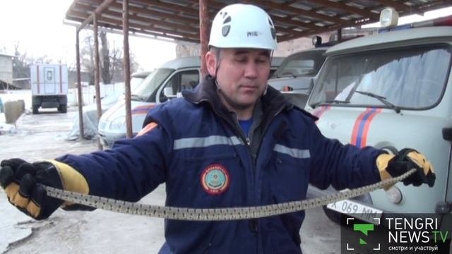 Спасатели поймали змею в частном доме Шымкента