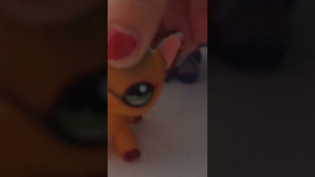 Я одна дома и я боюсь я слышала какието звуки😦