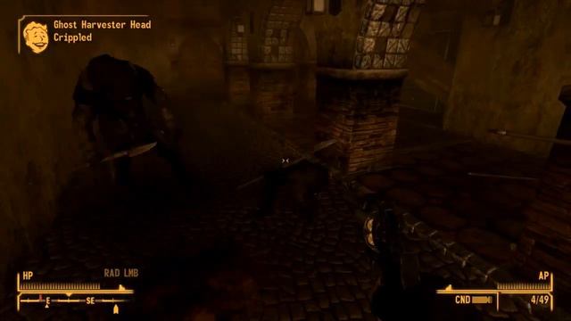 Can You Beat Dead Money At Level One?