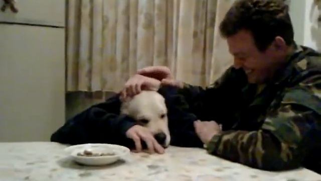 Человек РЕТРИВЕР.Ужас.wmv