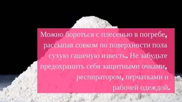Как избавиться от плесени в погребе