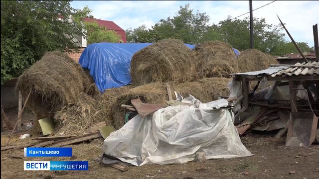 524 сельхозпроизводителя Ингушетии получили господдержку