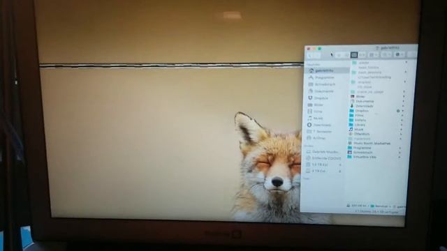 MacBook Air Mid 2012 Graphic Glitch