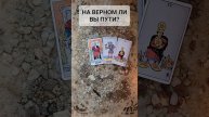 НА ВЕРНОМ ЛИ Я ПУТИ?