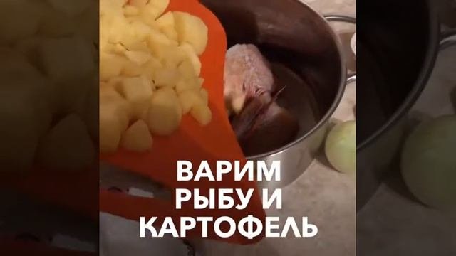 Уха из морского окуня