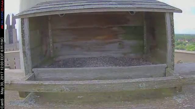 Camera 5 - 05/30/17