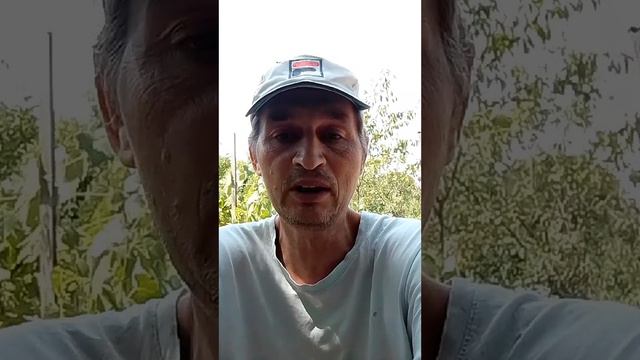 Национально -ориентированная экономика