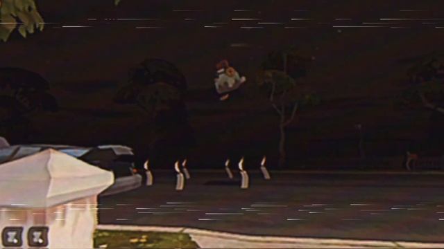 chicken gun vhs fly