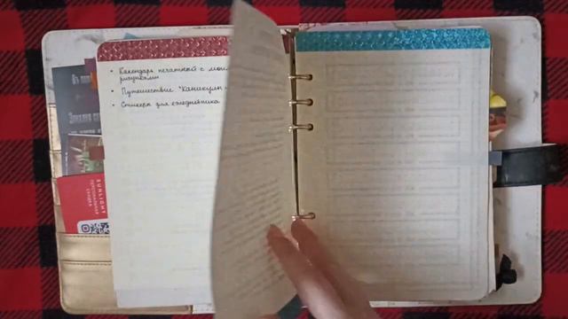 Обзор-листалка заполненного ежедневника за 2023 год | Bullet Journal