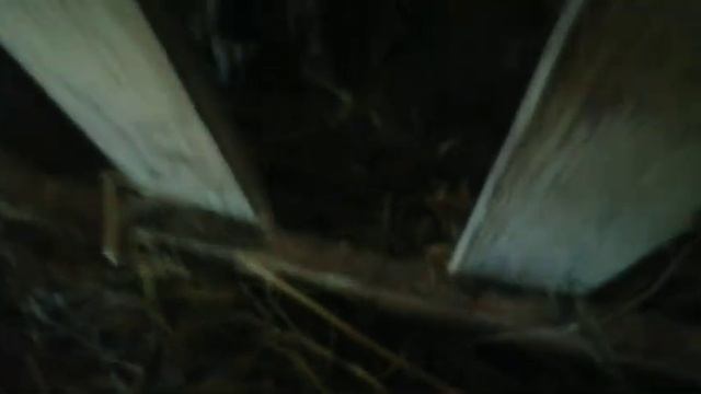 Послеобеденный сон в детском саду
