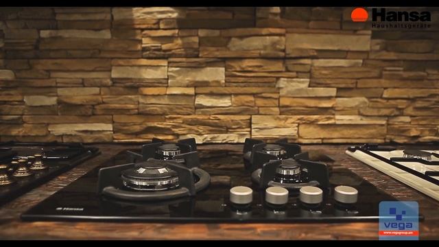 Hansa cooker hood and oven testimonial