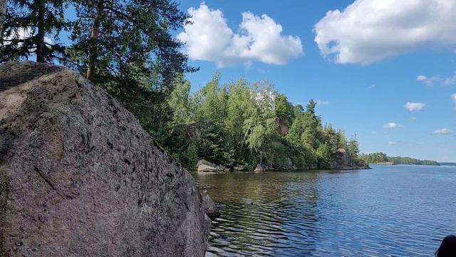 Зарисовки парка Монрепо