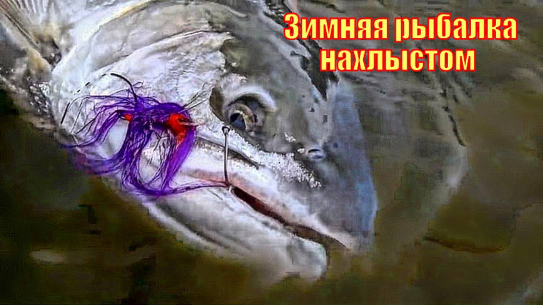 ЗИМНИЙ ЗАБЕГ - Зимняя рыбалка нахлыстом на Тихоокеанском Северо-западе