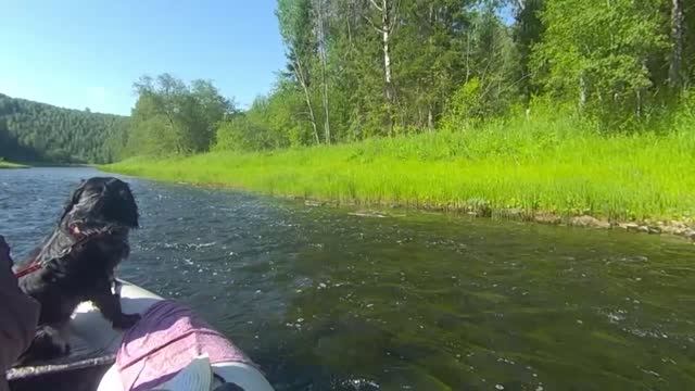 Река Серебряная. Двое в лодке не считая собаки.