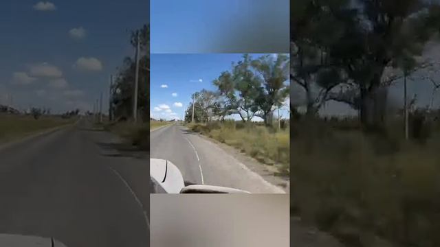 Бахмут.mp4
