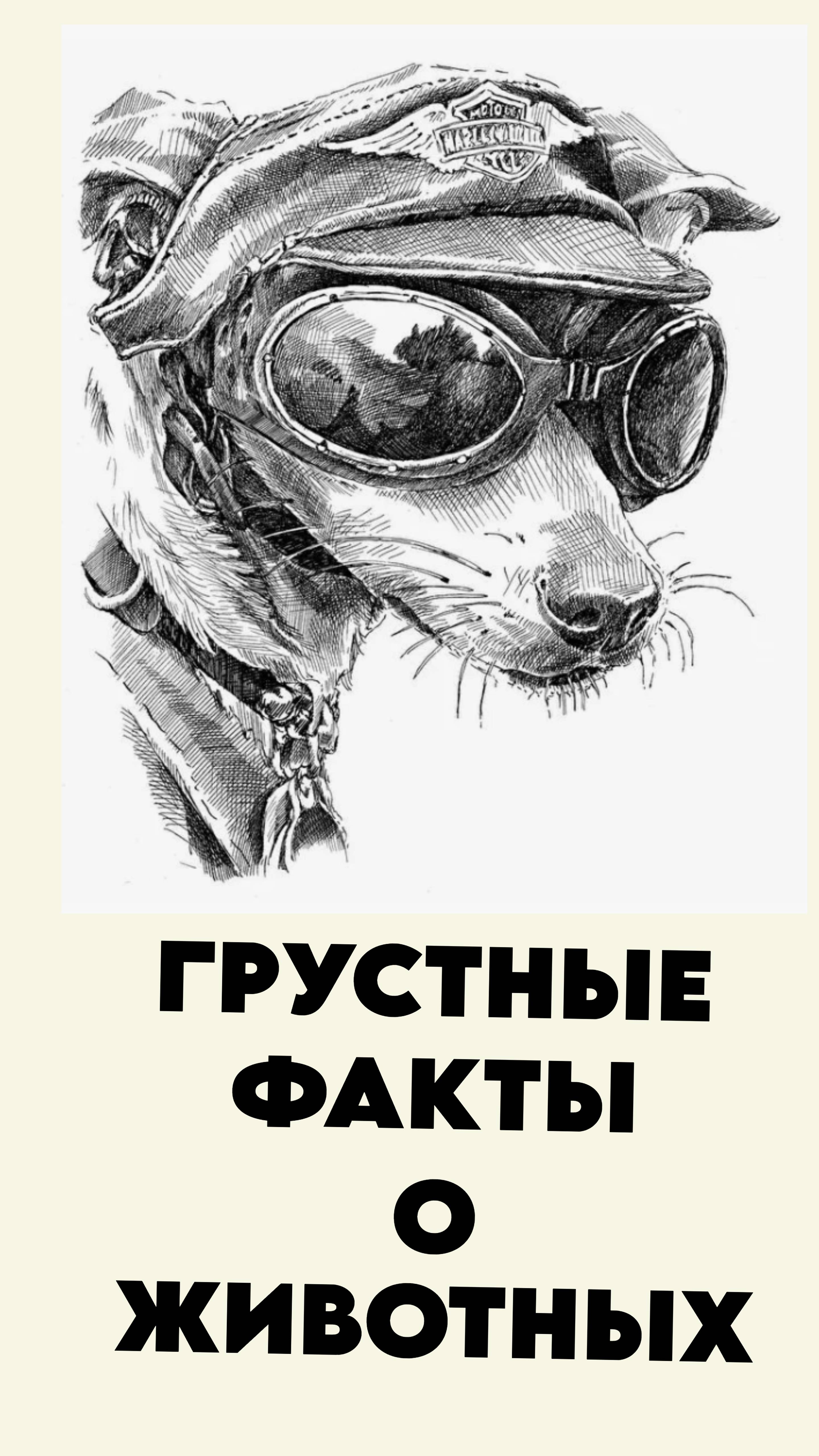 Грустные факты о животных 10