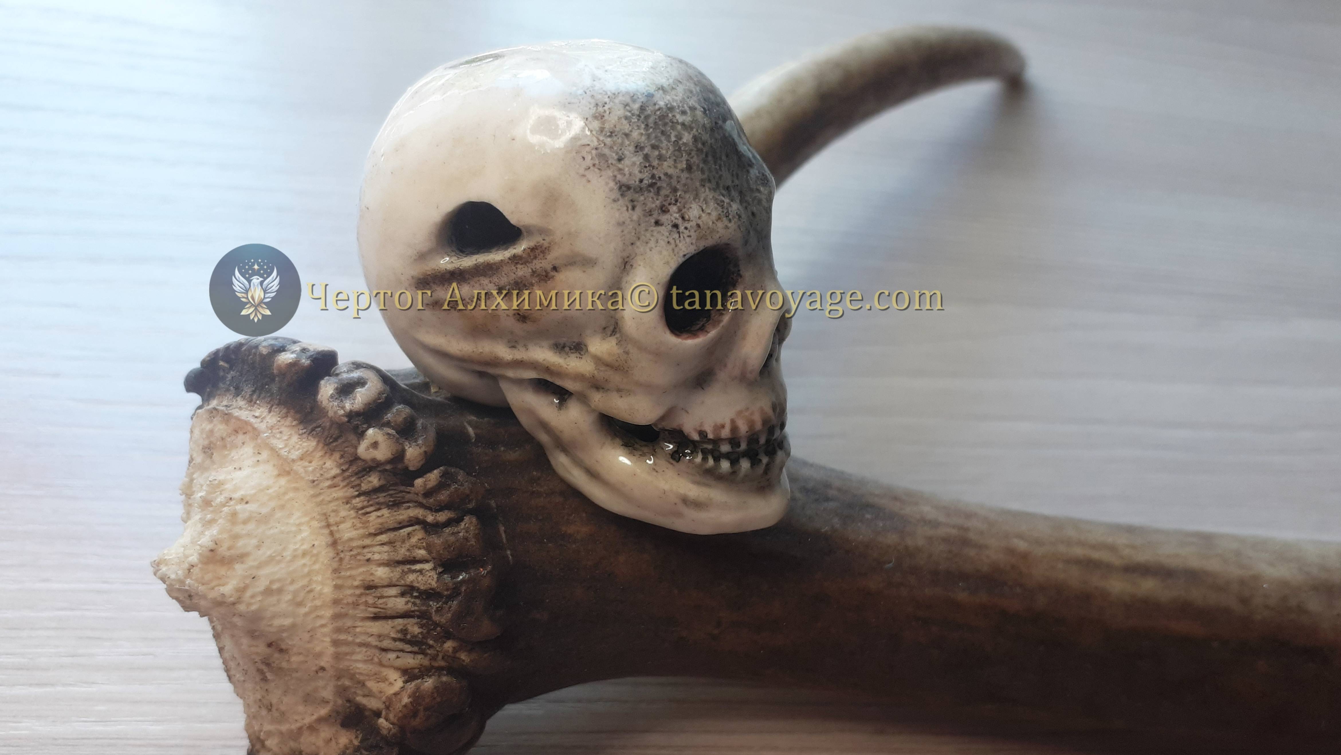 Создание магического артефакта - фамильяра. Череп/Creating a magical artifact - a familiar. Skull