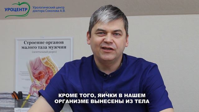 Врач уролог Коробов В.Г о ношении тесного белья