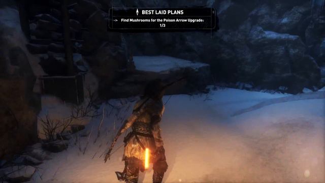 Rise of the Tomb Raider PC Gameplay 1080p Part 5 - Bear Attack
