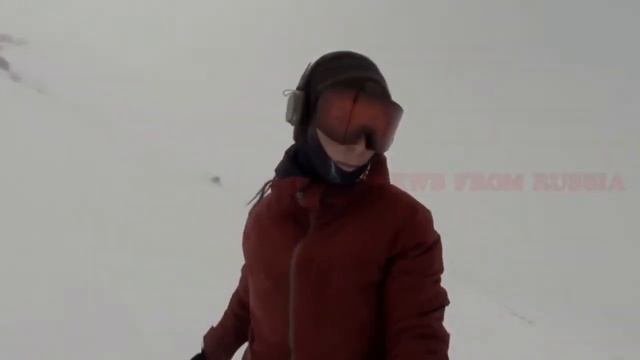 погоня белого медведя