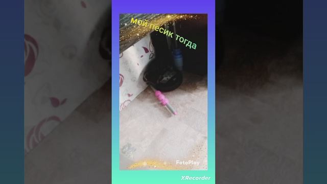 мой пёсик