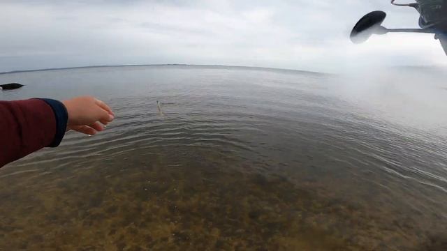 Fluke Fishing with Gulp! | NJ Back Bay