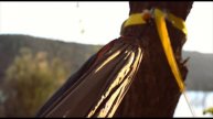 ¿Cómo colgar una Hamaca? -PONSA