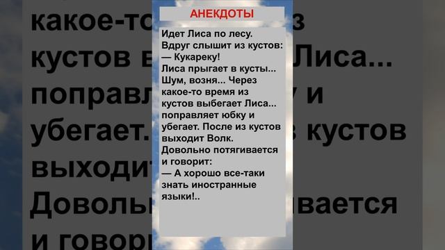 Идет Лиса по лесу, вдруг слышит из кустов.... Анекдоты! Шутки! Приколы! #анекдот