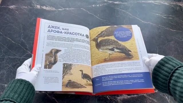 Красная книга мира. Животные