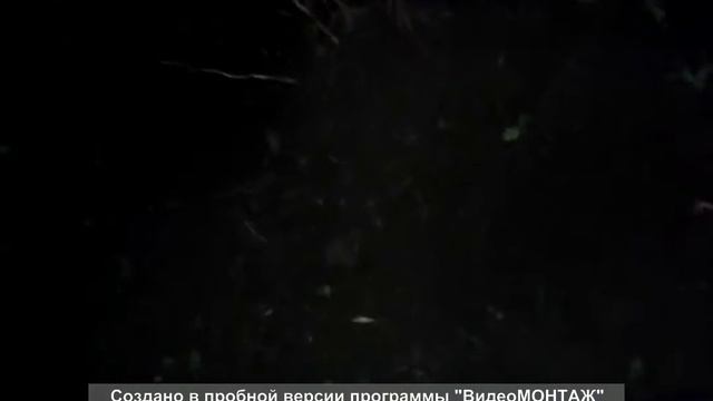 Поиск монет на месте старого дома часть 1.коп 2016года