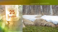 25 Апреля - Ежедневный Народный Календарь