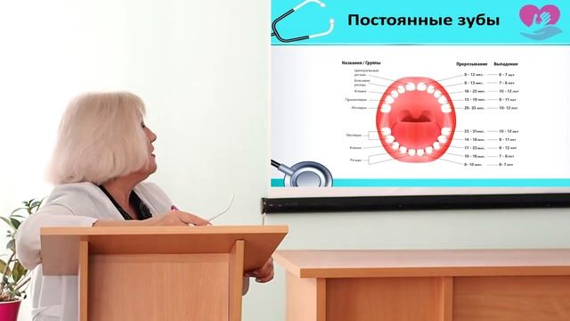 Прорезывание зубов у детей. Докладчик Горячева В.Н.