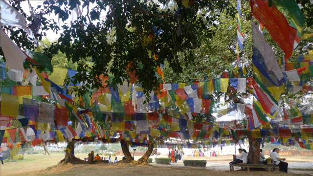 Lumbini ( Music: Visharad Srima Chanting Nava Guna Gatha; The 9 Virtues Of Buddha)