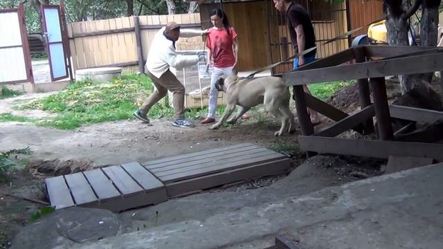 Бурбуль. Первое занятие по защите