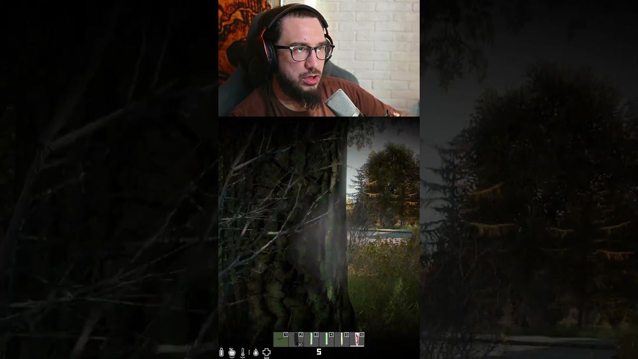КЛАНОВЫЙ ИГРОК #shorst #dayzstalkerrp #дейз #вфня #сталкер #дейзи #stalkerrp #твич