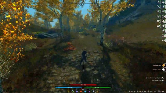 Skyrim RFAB X YC + AdeptXP: ND (100/100). Орк не тупой. #6