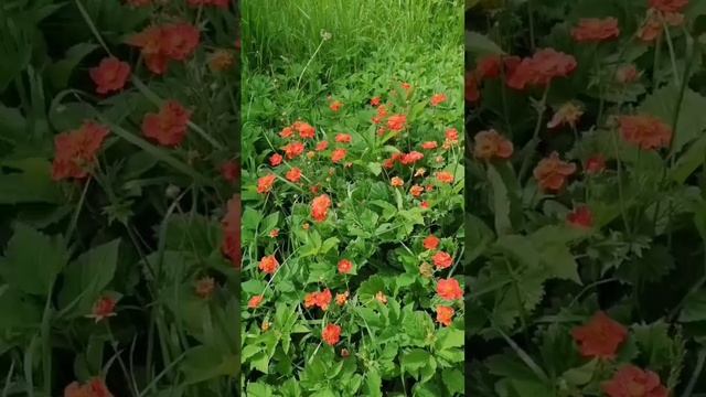про заботу о себе