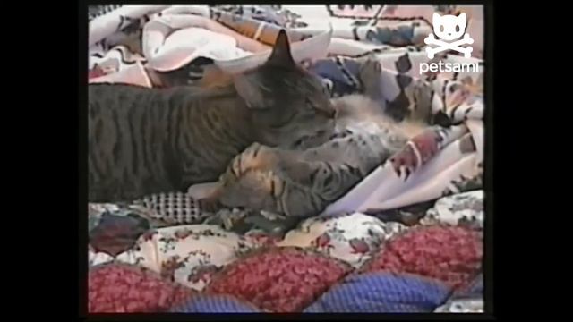 когда отключили воду