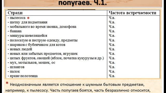 Страхи попугаев. Чего боятся попугаи. Зоопсихология.
