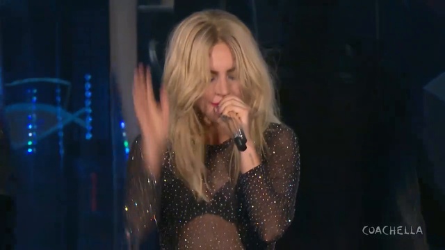  vk.comladygaga