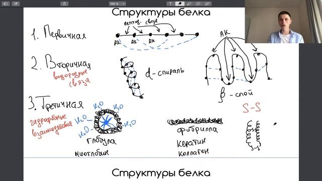 Химия клетки