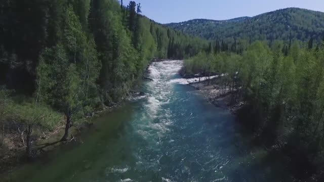 BIOSPHERE RESERVE_KUZNETSKY ALATAU 2021.mp4