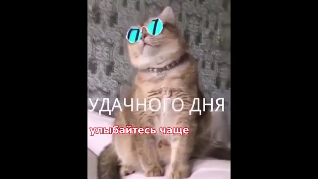 Позитивчик