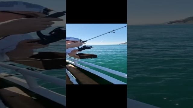Мы поймали, то что еще никто не ловил #shorts