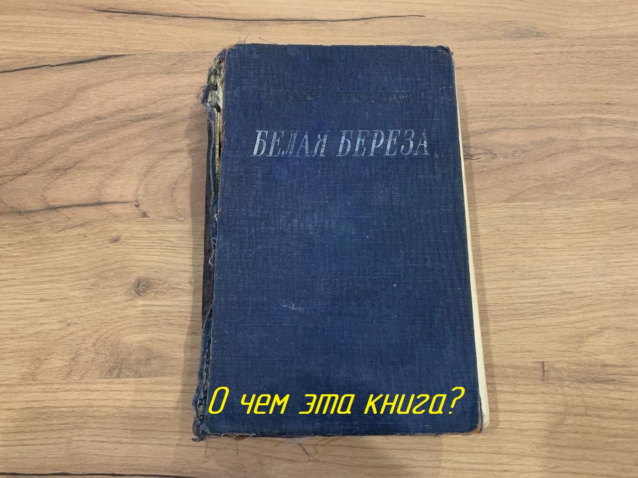 О чем эта книга? -  Михаил Бубеннов - Белая береза