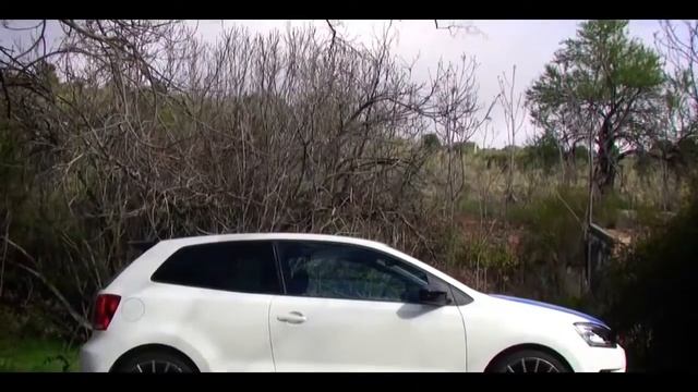 Volkswagen Polo R WRC 2.0 TSI 220 cv