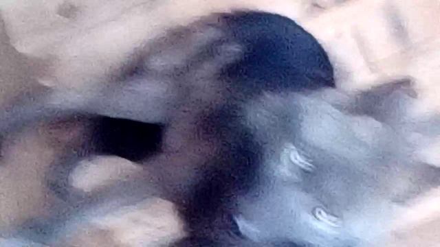 Видео из архива