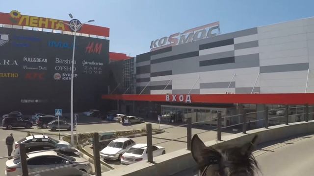 В МакАвто на Коне