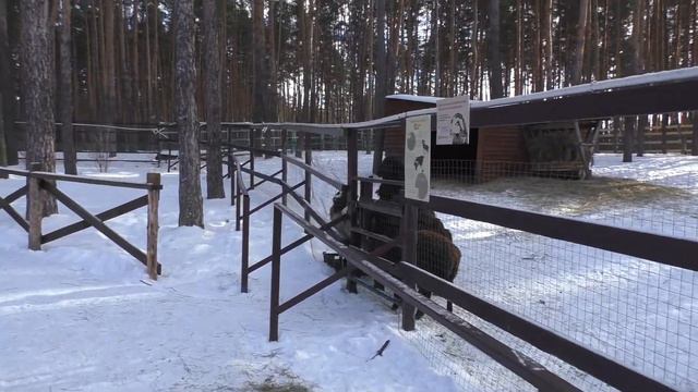 Пеший маршрут: Червлёный Яр