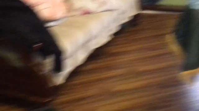 Дикий Праздник - Блюз в Свистухе, Моск. обл., 14.10.17